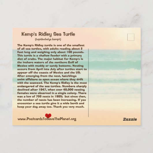 Deze zee schildpad dreigt te verdwijnen — postbode briefkaart (Achterkant)