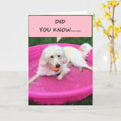 DEZE ZWEMPUP VERKLAART ZIJN/HAAR LIEFDE VOOR JOU KAART (Gele Bloem)