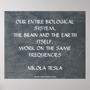 DEZELFDE FREQUENTIES - NIKOLA TESLA POSTER