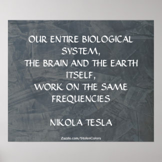 DEZELFDE FREQUENTIES - NIKOLA TESLA POSTER