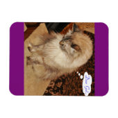 Dezi bidt magneet (Horizontaal)