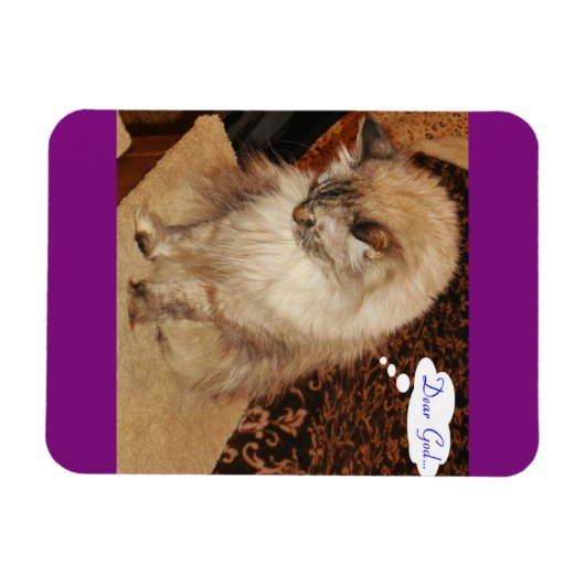 Dezi bidt magneet (Horizontaal)