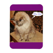 Dezi bidt magneet (Verticaal)