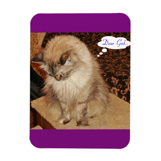 Dezi bidt magneet (Verticaal)