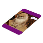 Dezi bidt magneet (Linkerzijde)