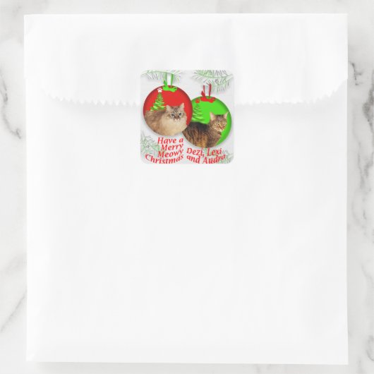 Deziz World Kerst stickers (Tas)