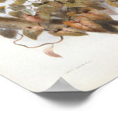 DG Elliot - Hybride fazant Portfolio Poster (Hoek)