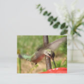 DG Hummer briefkaart (Staand voorkant)