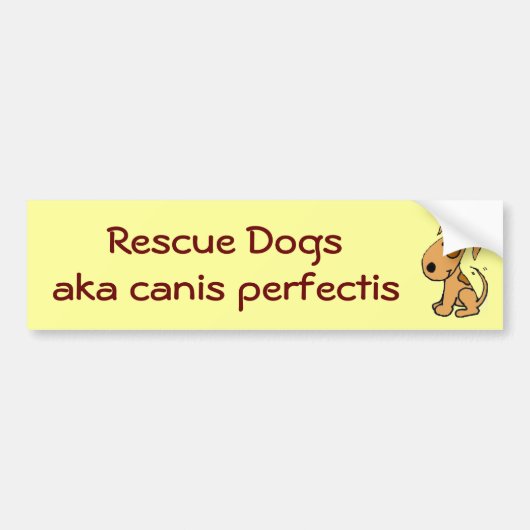 DG Reddingshonden, ook bekend als canis perfectis Bumpersticker (Voorkant)
