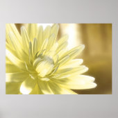 Dhalia Poster (Voorkant)