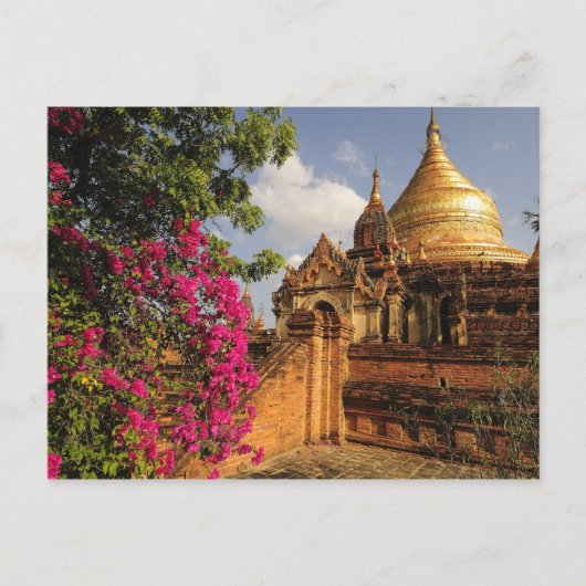 Dhamma Yazaka Pagode in Bagan (Pagan), Myanmar Briefkaart (Voorkant)