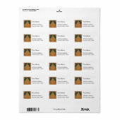 Dharmacharkra Buddha Mudra Etiket (Full Sheet)