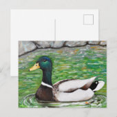 Dhr. Mallard Duck schilderij Briefkaart (Voorkant / Achterkant)