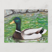 Dhr. Mallard Duck schilderij Briefkaart (Voorkant)