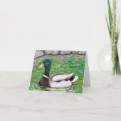 Dhr. Mallard Duck schilderij Kaart (Voorkant)