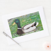 Dhr. Mallard Duck schilderij Rechthoekige Sticker (Envelop)