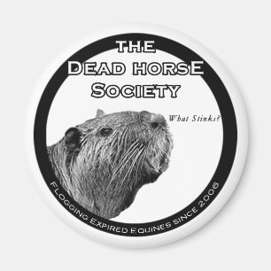 DHS Koelkast Magneet