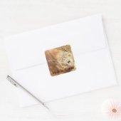 Dia de los Muertos Square Sticker (Envelop)