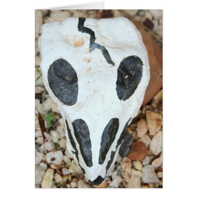 Dia del muerte schedel (Voorkant)