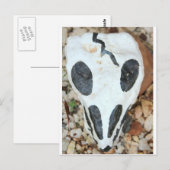 Dia del muerte schedel briefkaart (Voorkant / Achterkant)