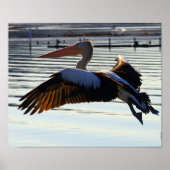 dia poster (Voorkant)