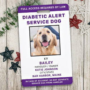 Diabetes Alarm Servicehond ID Gepersonaliseerde Fo Badge
