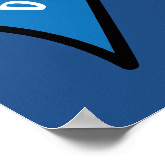 Diabetes Awareness Ribbon Poster (Hoek)