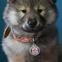 Diabetic Pet Medical Alert Aangepaste Naam Grijs Z