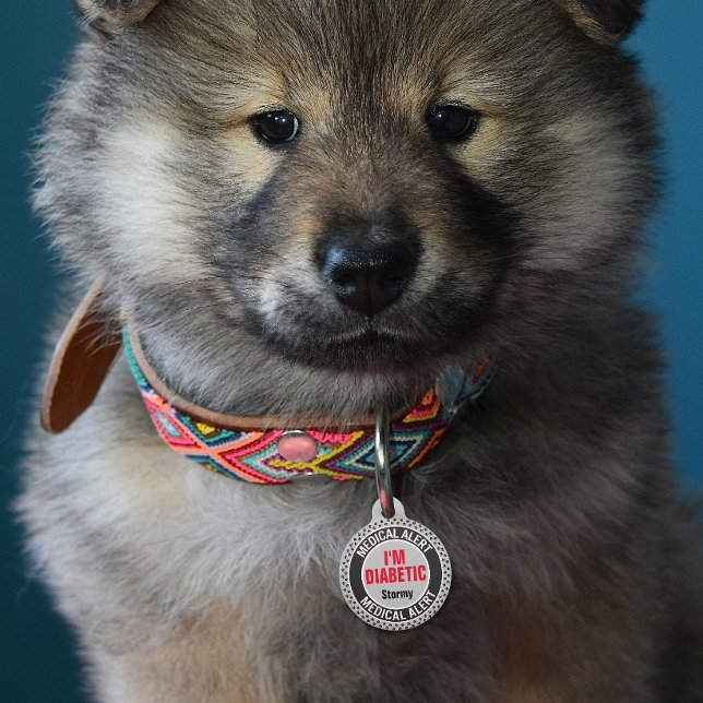 Diabetic Pet Medical Alert Aangepaste Naam Grijs Z Huisdierpenning (Creator heeft geüpload)