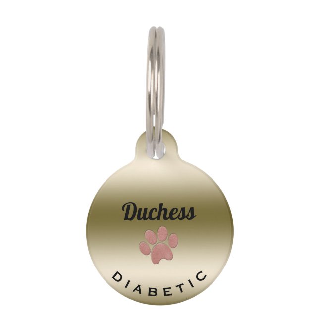 Diabetische Medische Waarschuwing Paw Print Telefo Huisdierpenning (Voorkant)