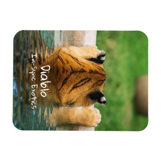 Diablo - magneet (Horizontaal)