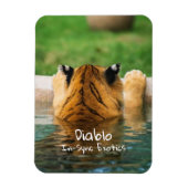 Diablo - magneet (Verticaal)