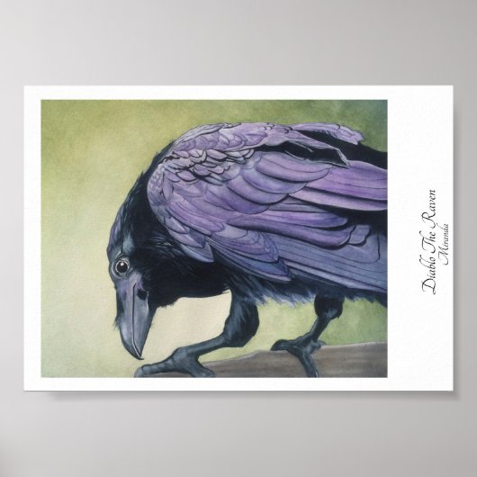 Diablo The Crow Black Raven Art Print Miranda (Voorkant)