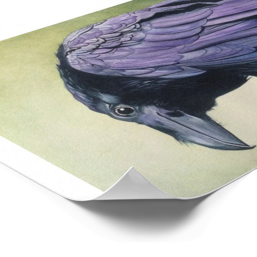 Diablo The Raven Crow Waterverf Print Fine Paper (Hoek)