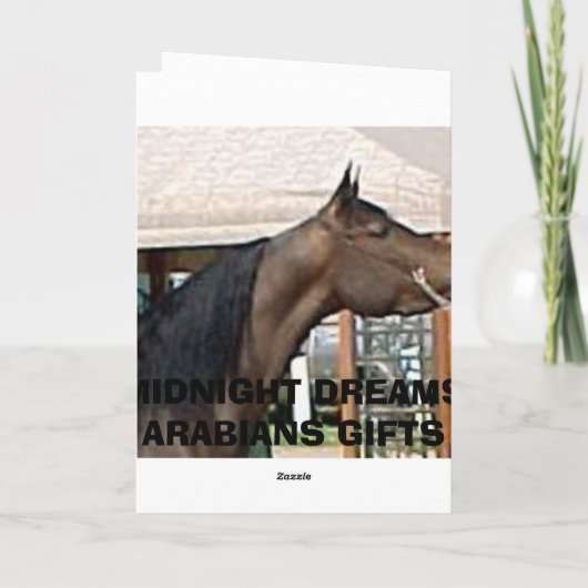 Diadhems Aziza Feestdagen Kaart (Achterkant)