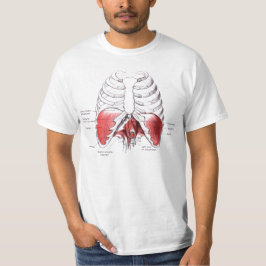 Diafragtekening T-shirt