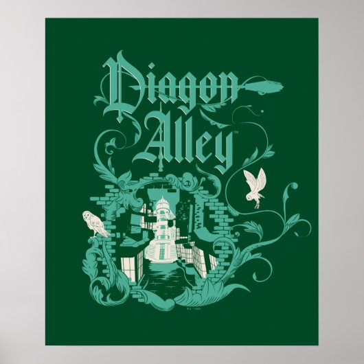 DIAGON ALLEY™  Graphic Poster (Voorkant)