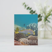 Diagonale Gestreepte Sweetlip (lineatus Briefkaart (Staand voorkant)