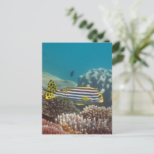 Diagonale Gestreepte Sweetlip (lineatus Briefkaart (Staand voorkant)