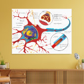 Diagram compleet neuron cel zenuw zenuwstelsel canvas afdruk (Insitu (Woonkamer))