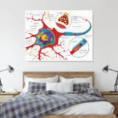 Diagram compleet neuron cel zenuw zenuwstelsel canvas afdruk (Insitu (Slaapkamer))
