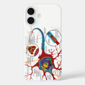 Diagram Complete Neuron Cell Nerve Nervous System  Case-Mate iPhone Case (Achterkant)