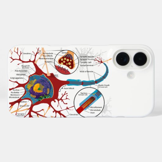 Diagram Complete Neuron Cell Nerve Nervous System  Case-Mate iPhone Case (Achterkant (horizontaal))