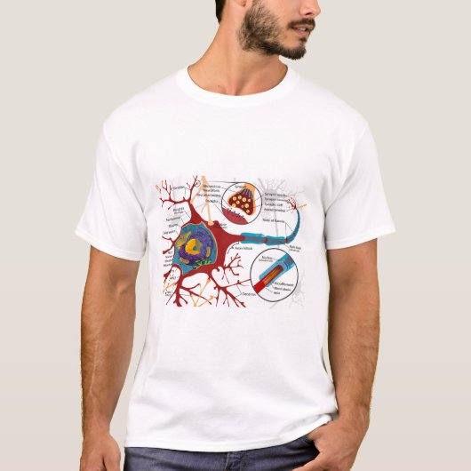 Diagram Complete Neuron Cell Nerve Nervous System T-shirt (Voorkant)