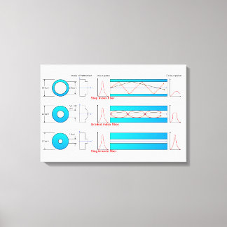 Diagram Grafiek Optische vezeltypen multimode  Canvas Afdruk