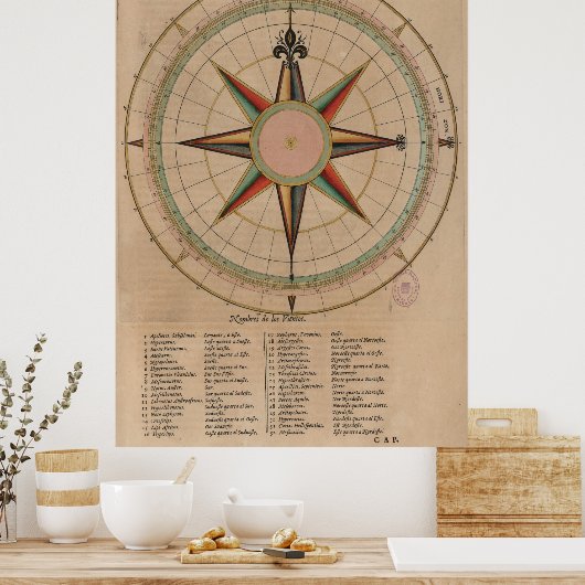  diagram Roos (1664) Poster (Keuken)