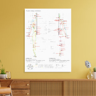 Diagram Schema Chinese Meridianen Menselijk Lichaa Canvas Afdruk