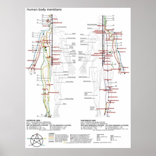  Diagram Schematic Chinese Meridians Human Body  Poster (Voorkant)