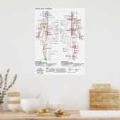  Diagram Schematic Chinese Meridians Human Body  Poster (Keuken)