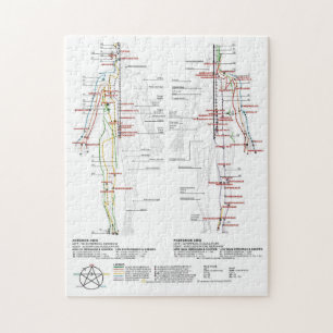 Diagram Schematisch Chinese Meridianen Menselijk L Legpuzzel